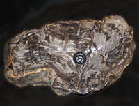 petrified wood stool