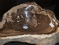 stool6