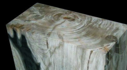 petrified wood stool 3