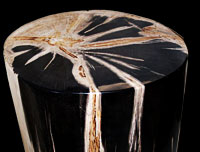 stool4